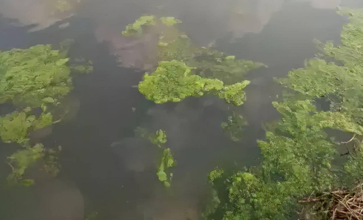 未知图片