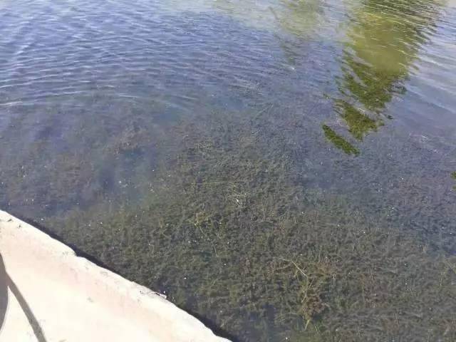 未知图片