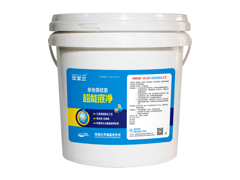 1750237828101167.png 超能底净.png