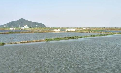 1753840560511045.jpg 655f3eb4383385aee15e1d781cea28e0.jpg